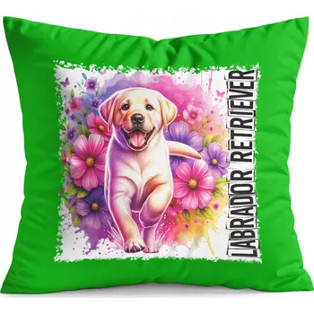 Polštář POLŠTÁŘ ZELENÝ DÁREK - PES PEJSEK PLEMENO LABRADORSKÝ RETRÍVR