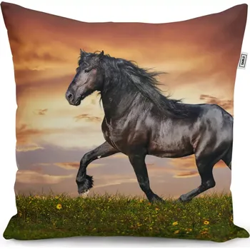 Polštář Sablio Polštář Friský kůň - 40x40 cm