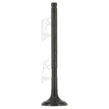 Rozvod motoru Výfukový ventil AE V95259