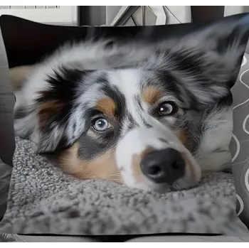 Polštář Polštář s náplní pejsek Australský ovčák 45 x 45 cm