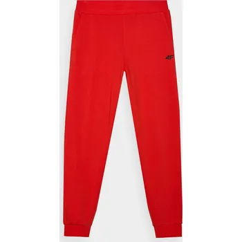 TEPLÁKOVÉ KALHOTY 4F 4FWMM00TTROM0942-60S-XL