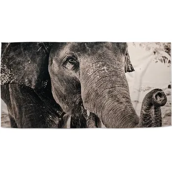 Osuška Sablio Ručník Slon - 50x100 cm