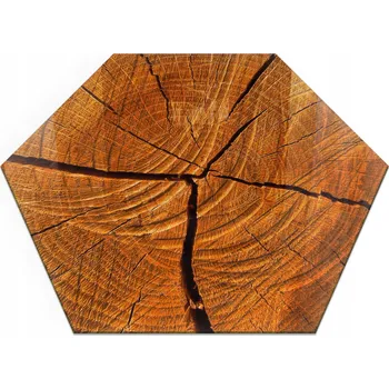 Obraz Skleněná podložka s potiskem pod krb Kamna Sloje dřeva h40 cm