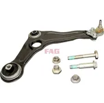 Ridici paka, zaveseni kol Schaeffler FAG 821 1322 10