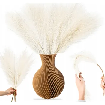 umělá květina Umělá béžová pampová tráva rákosí sada 20 KS větvičky dekorativní