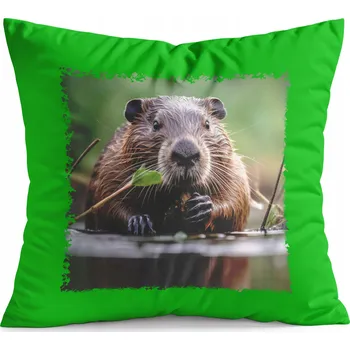 Polštář POLŠTÁŘ ZELENÝ DÁREK - ZVÍŘATA KAPYBARA MÓDNÍ