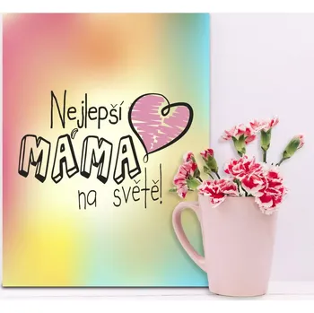 Plechová cedule Sablio Dárková cedulka Nejlepší máma na světě: 30x40 cm