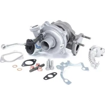 Turbodmychadlo Dmychadlo, plnění BTS Turbo T981146BL