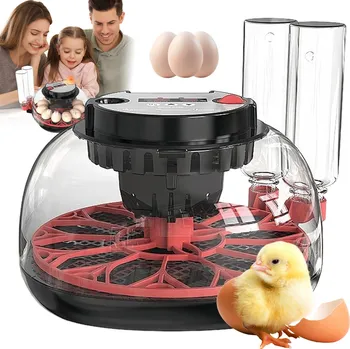 Umělá líheň INKUBÁTOR VAJEC LÍHEŇ 12 KS UKAZATEL VLHKOSTI AUTOMATICKÉ OTÁČENÍ