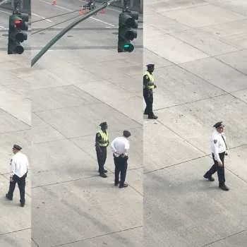 Zahraniční hudba LP (0): Nový Zprávy žádný 2023