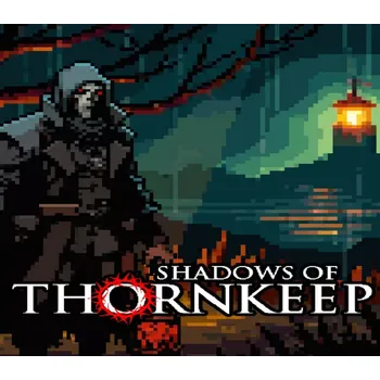 Počítačová hra Shadows Of Thornkeep