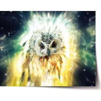 Plakát Sablio Plakát Sova - 60x40 cm