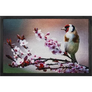 rohožka 585 Image 021 pták 40x60cm