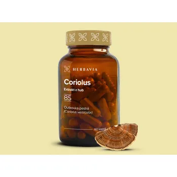 Přírodní produkt Coriolus extrakt z hub - 60 kapslí / Herbavia.cz