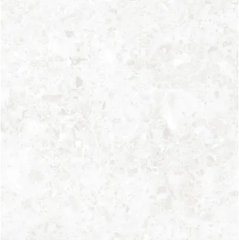 Dlažba RAKO Dlažba Rako Atacama bílošedá mat rektifikovaná 60x60 DAK62120 DAK62120