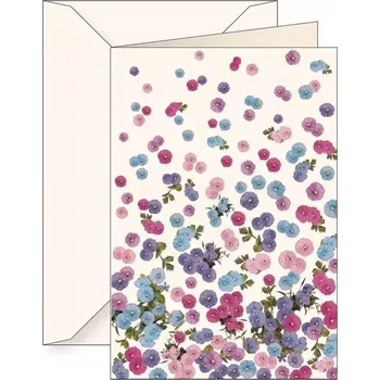 Obálka Přání B6 obálka 5790 Květinové lístky