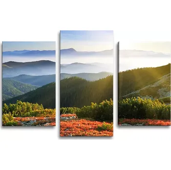 Obraz Sablio Obraz - 3-dílný Příroda - 75x50 cm