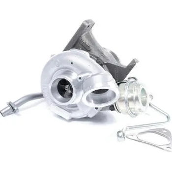 Turbodmychadlo Dmychadlo, plnění BTS Turbo T981006BL