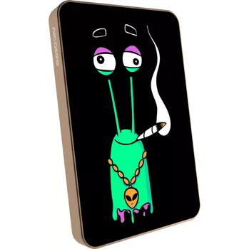 Powerbanka Picasee Powerbanka s MagSafe 5 000 mAh Zlatá - Earth - Sám doma