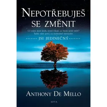 Kniha Nepotřebuješ se změnit elektronická kniha