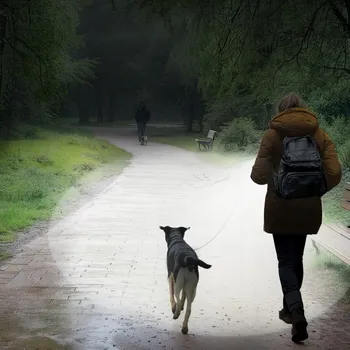 Svítilna HAMA LED SVÍTILNA FL250 NA BATERIE 250 lm, dosah 60 m, 4 REŽIMY SVÍCENÍ, HLINÍKOVÁ