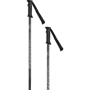 Sjezdová hůlka Rossignol Tactic - Grey 110