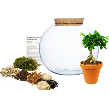 Terárium Gardners Skleněná váza boule s korkovým špuntem Osázej SI Sám Ficus Microcarpa Ginseng, L