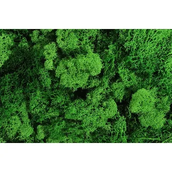umělá květina mech islandský (500 g) - zelená tmavá