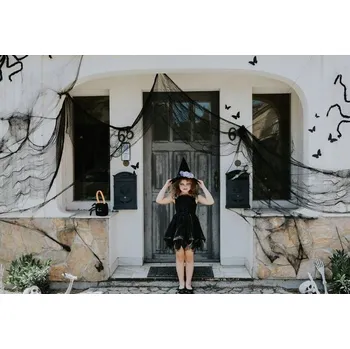 Obraz Pavučinová Party Deco 72 x 1 cm 1 ks