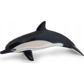 Delfín obecný, papo