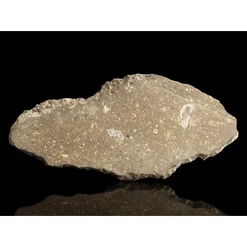 Přírodní kámen Meteorit | Uhlíkatý | CV3 Chondrit | 25,11 g