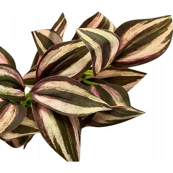 umělá květina Umělá rostlina do terária Voděnka větvička fialová