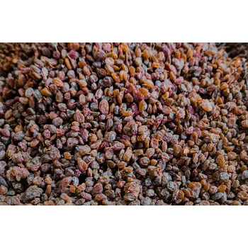 Sušené ovoce Rozinky Sultánky Standard 12.5 kg LES FRUITS DU PARADIS