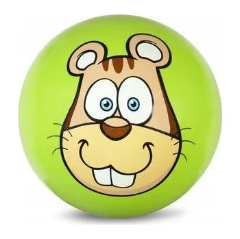 Hra na zahradu PVC míč 230 MM - Świstak