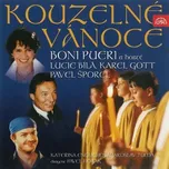 Kouzelné Vánoce - Various [CD]