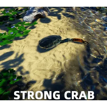 Počítačová hra Strong Crab