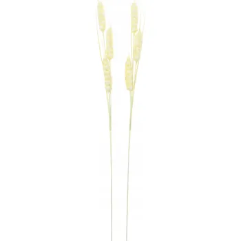 Obraz Velký obilný klas 125 cm do váz, aranžmá, boho větvičky 2 ks