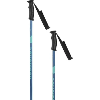 Sjezdová hůlka Rossignol Electra - Blue 110