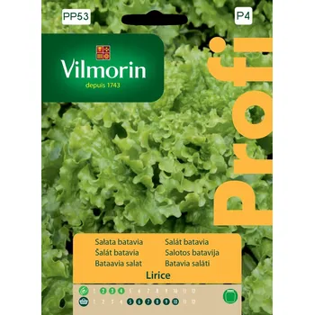 Semeno Salát batavia Lirice (polní, kadeřavý)