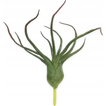 umělá květina BioPlant Tillandsia Oplątka Červená č. 1 Umělá rostlina do terária