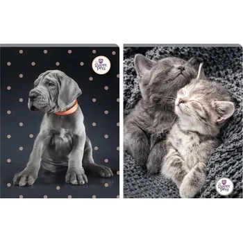 Sešit Sešit linkovaný A5 Beniamin 60 listů