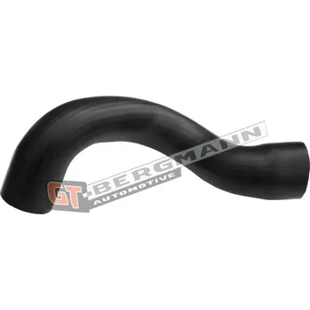 Turbodmychadlo Hadice plnícího vzduchu GT BERGMANN GT52-542