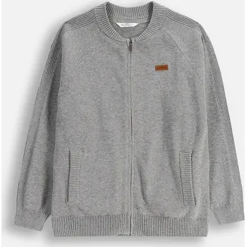 Chlapecká mikina Dětská bavlněná mikina Coccodrillo ZC5172201CBJ šedá 09X, vel. 158