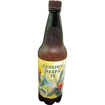 Pivo Dubňák 11° Session IPA - 0,75l sklo