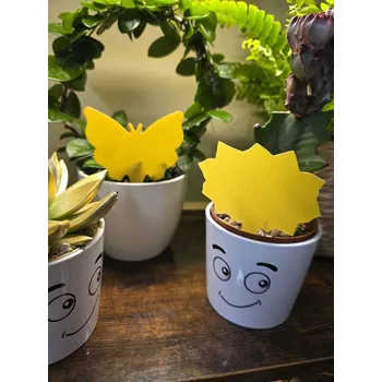 Lepové desky ve tvaru kytičky / motýla