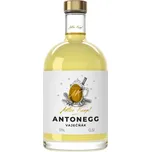 Anton Kaapl Antonegg 11 % 0,5 l