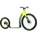 CRUSSIS CROSS Hard 6.2-1 2023