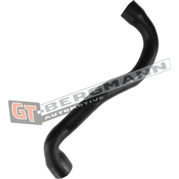 Turbodmychadlo Hadice plnícího vzduchu GT BERGMANN GT52-435