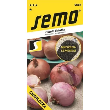 Semeno CIBULE ŠALOTKA - CHARLOTKA / Allium ascalonicum Strand. et Mansf. non L