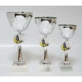 VIZINGR Hasiči poháry X12-L229